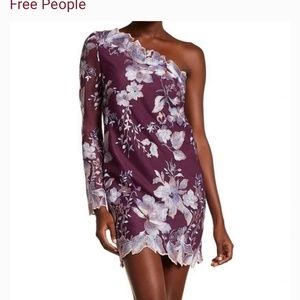 FP Rosalie Embroidered Mini Dress Sz 2